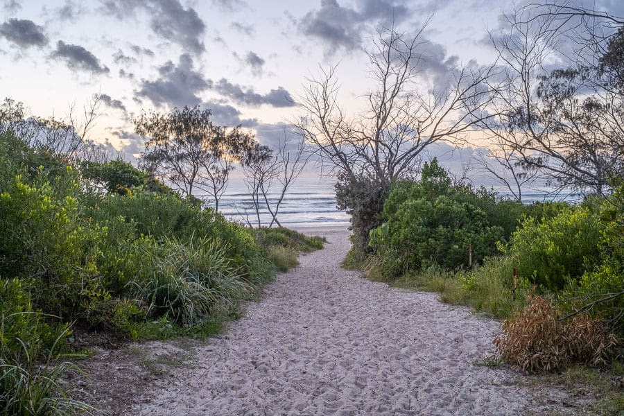 Dynamic range test 2