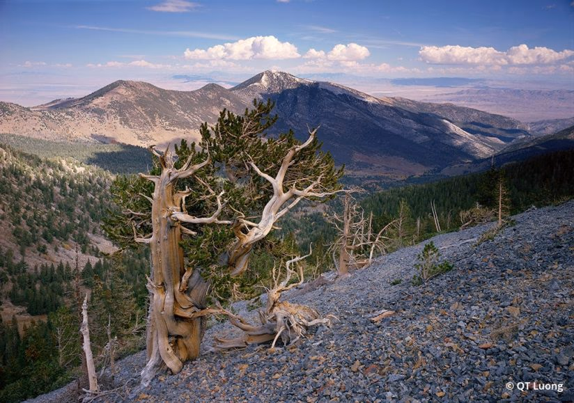 Great Basin National Park