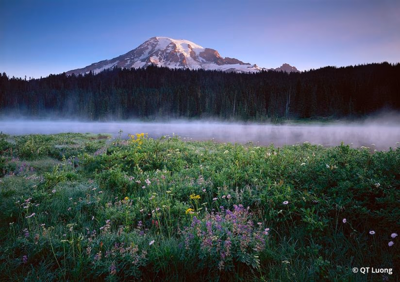 Mount Rainier National Park