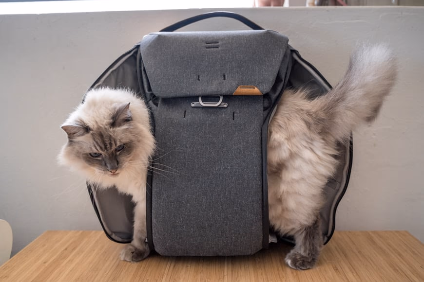 Dual side access on the Everyday Backpack V2.
