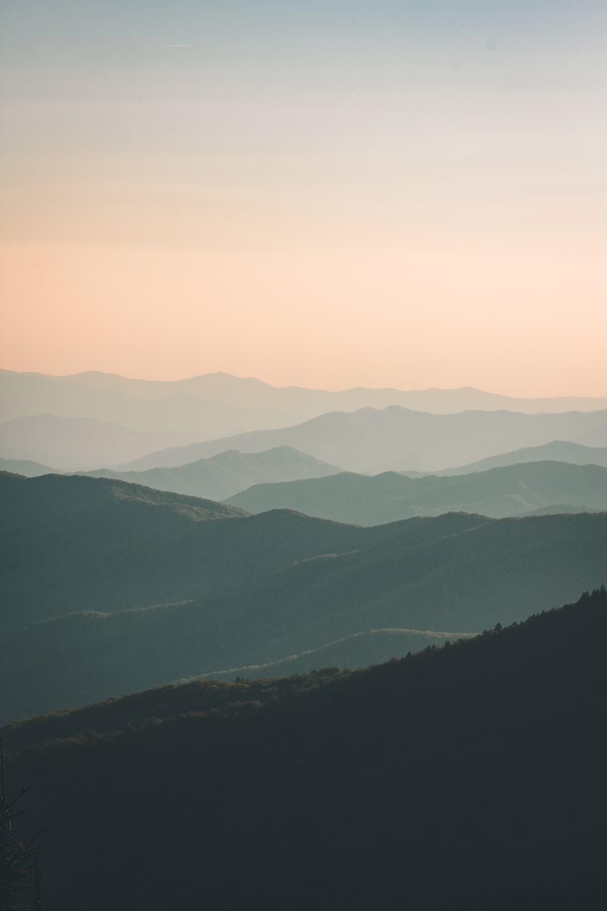 Desert landscape at dusk
