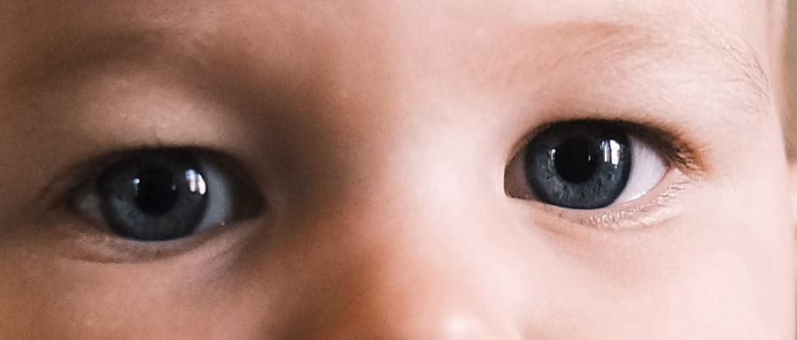 Detail crop – eye sharpness